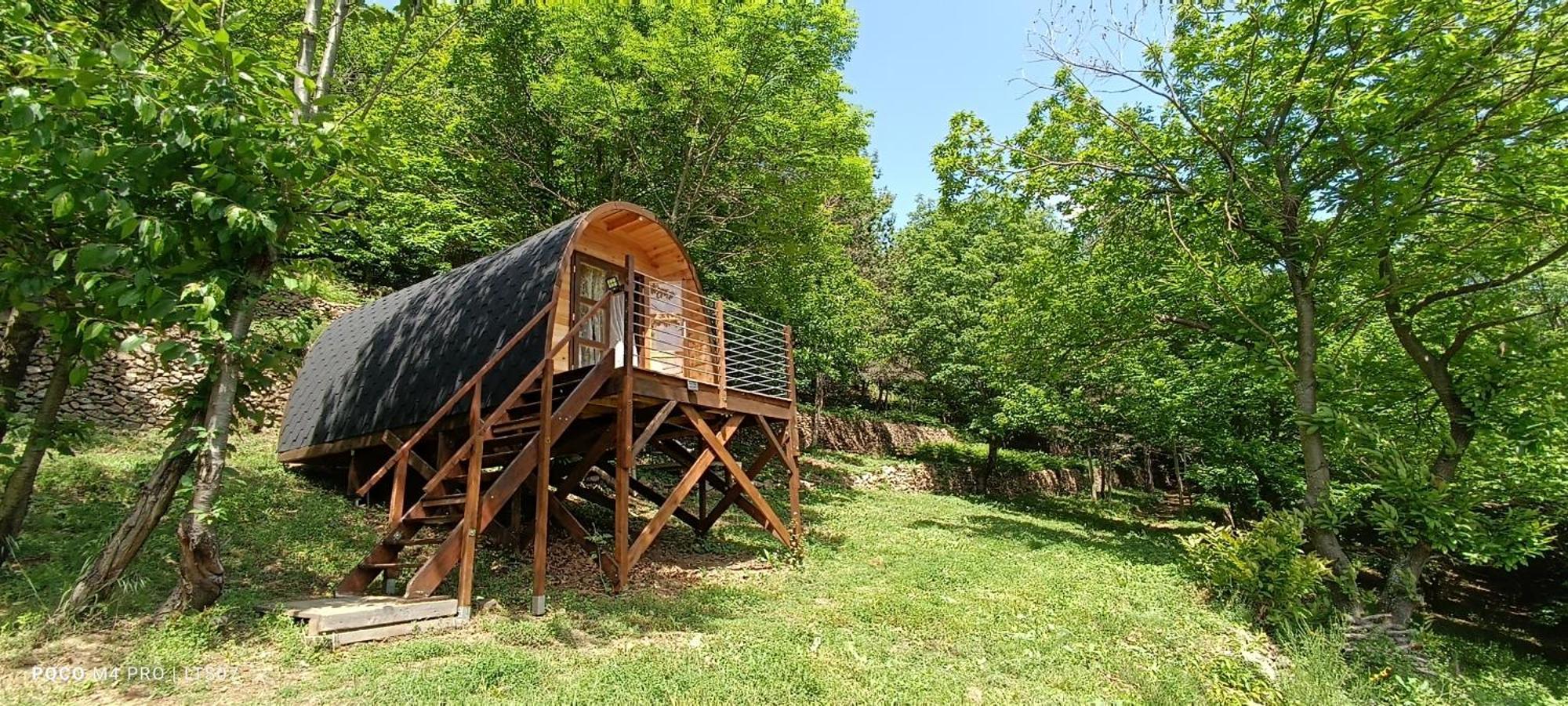 Le Temps Suspendu Hotel Saint-Pierreville Екстериор снимка